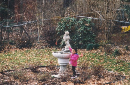 IMG 0049