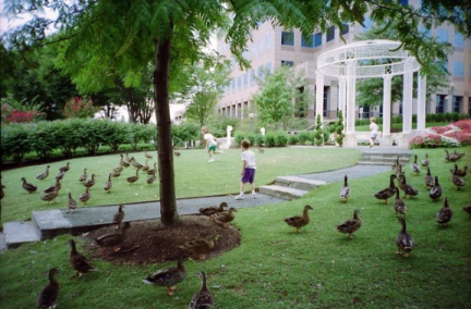 Env007-IMG 0001