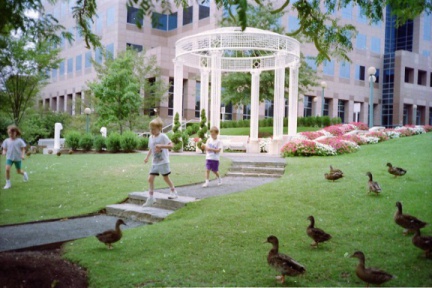 Env007-IMG 0002