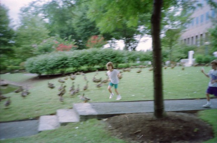 Env007-IMG 0003