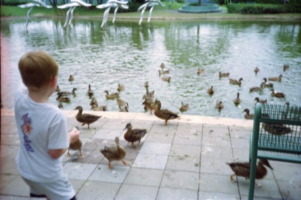 Env007-IMG 0004