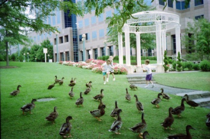 Env007-IMG 0009