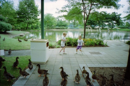 Env007-IMG 0011