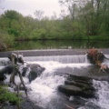 Env011-IMG 0039