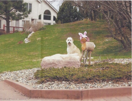 Bentley and the Easter Deer